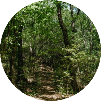 自然・田園風景